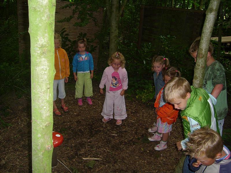 070612 skoalreiske beukers 071.jpg
